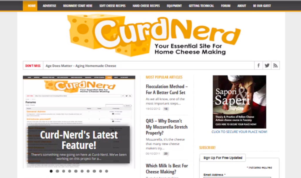 curd nerd website was making $17 per month before renovation