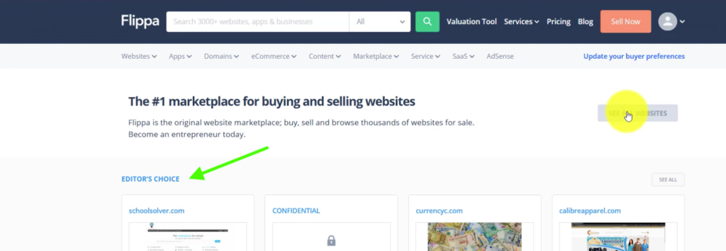 Searching for Websites for Sale on Flippa