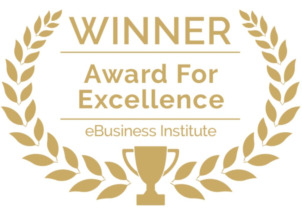 eBusiness Institute digital marketing excellence